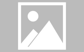 安吉网页设计师周记（网页设计周记26篇300字）